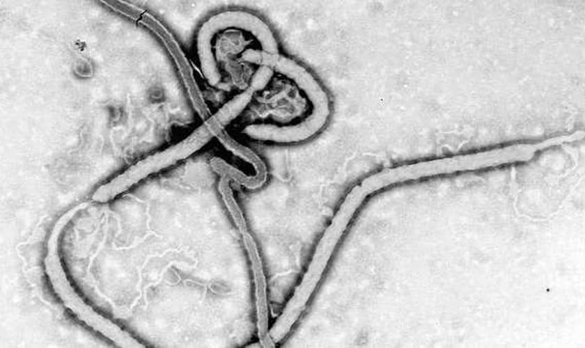 doença Ebola