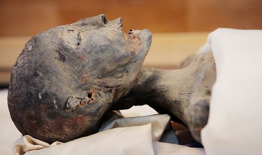 Múmia durante pesquisas. (Imagem: Discovery Channel via Getty Images)
