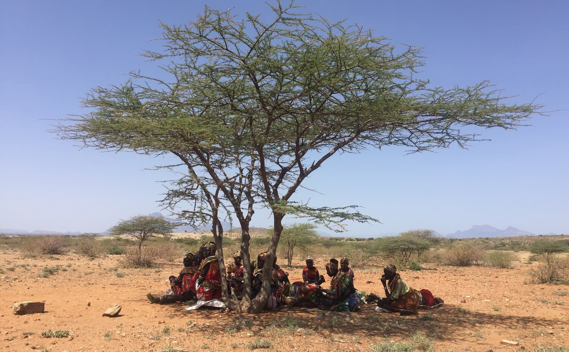 Grupo se reúne debaixo de árvore norte do Quênia, para ouvir Bíblia em áudio movida a energia solar. (Foto: World Mission)