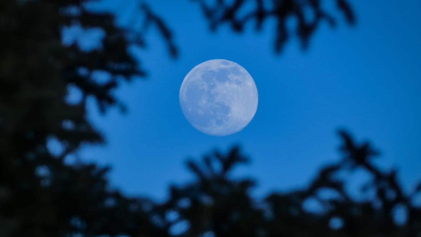 Lua no céu. (Foto representativa: Unsplash/Kym Mackinnon)