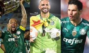 Tudo sobre Palmeiras