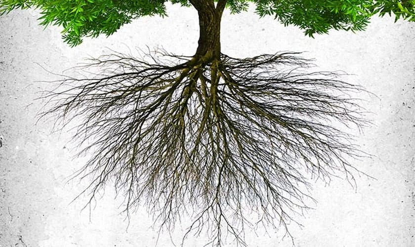 Casting Crowns lança álbum "Thrive" e divulga nova turnê