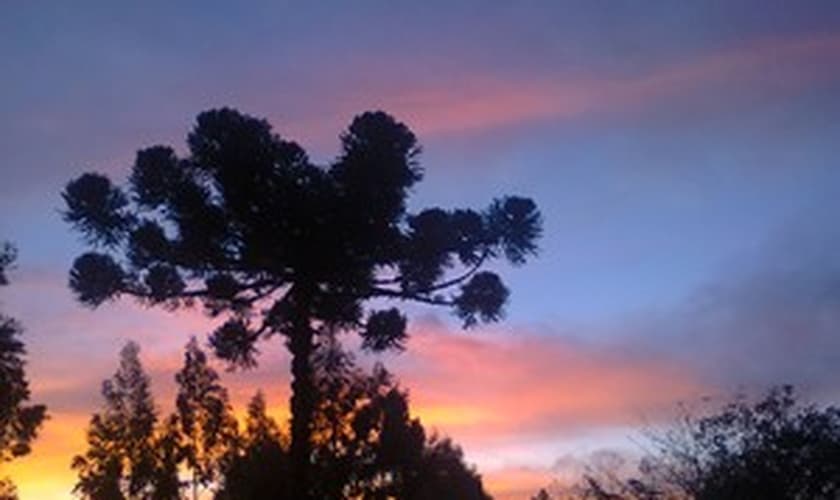 Terça amanheceu com frio em todas as regiões de SC