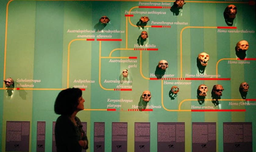 Pesquisa: Aproximadamente 50% dos norte-americanos apoiam o Criacionismo