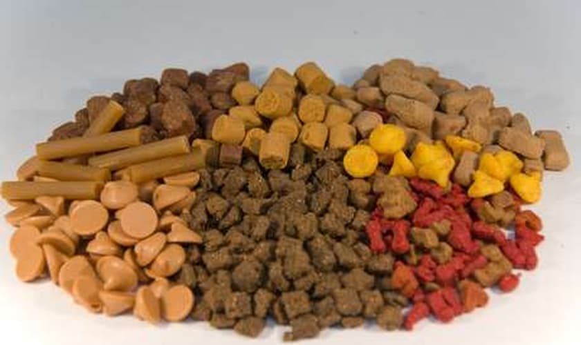 As crianças teriam comido os petiscos após a professora dizer que eles eram cookies