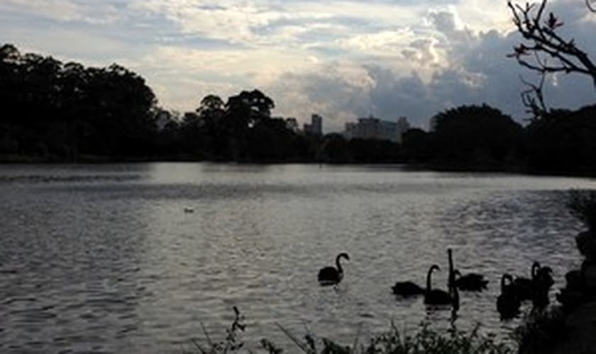 parque ibirapuera