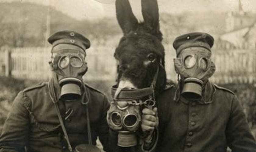 Primeira Guerra Mundial