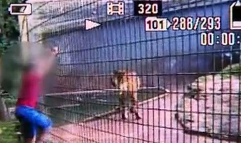 criança_tigre_zoológico