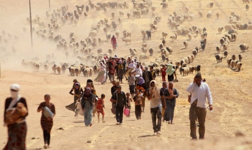 Refugiados do Iraque