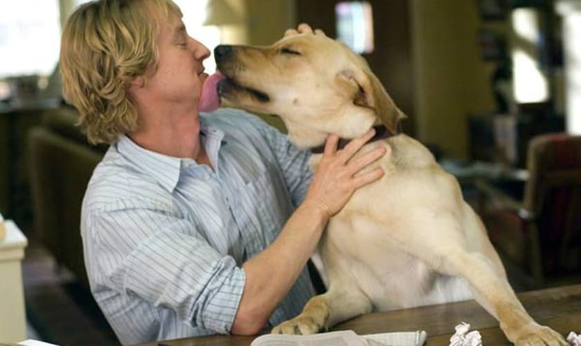 animal de estimação