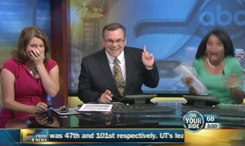 Mamífero entrou voando durante transmissão ao vivo de programa matutino