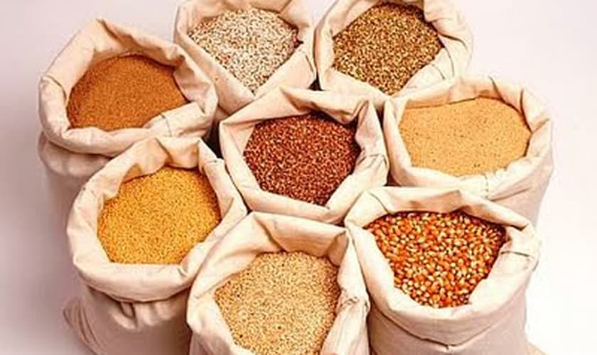 grãos integrais
