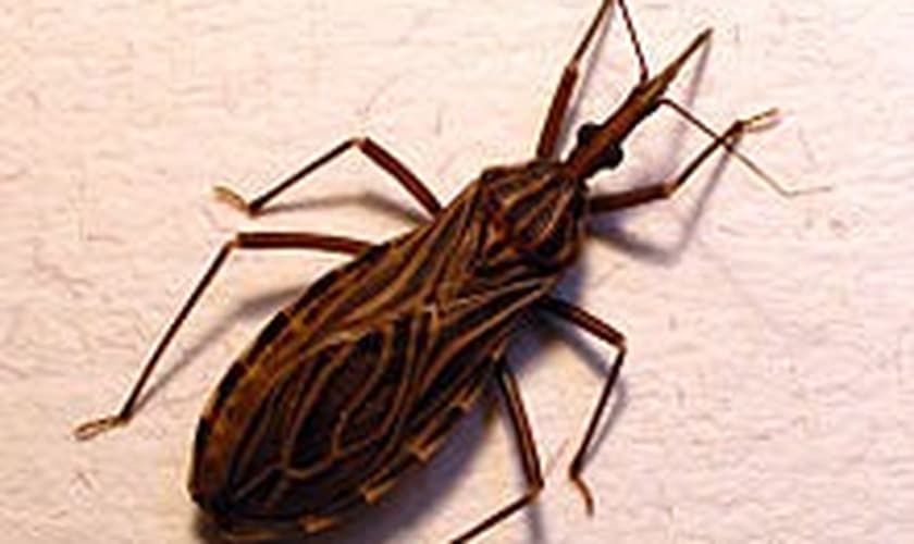 doença de Chagas