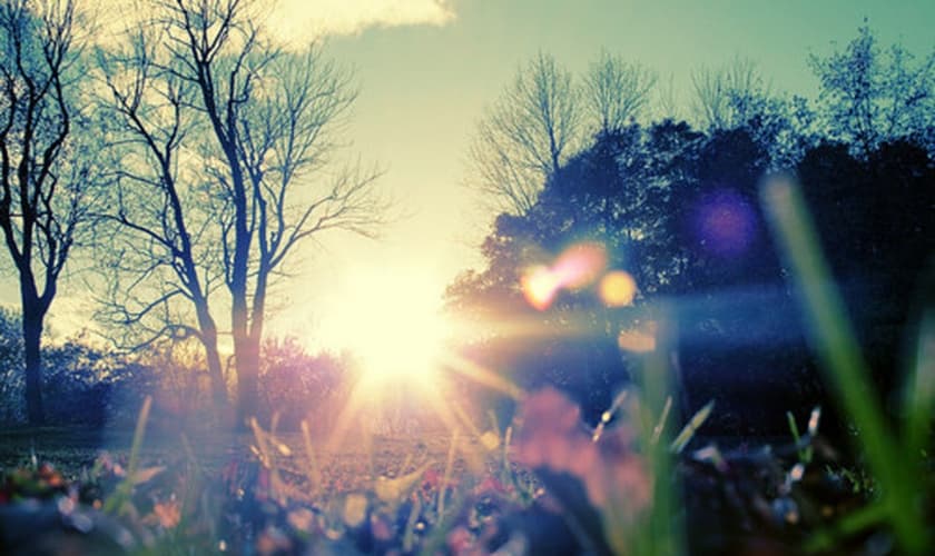 Natureza _ Imagem ilustrativa