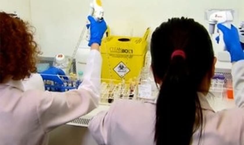 Vacina contra dengue produzida pela USP