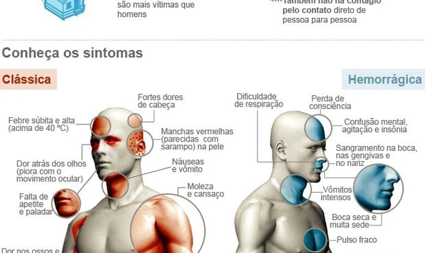 morte por dengue em São Paulo