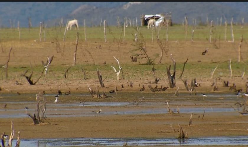 reservatório De água está secando