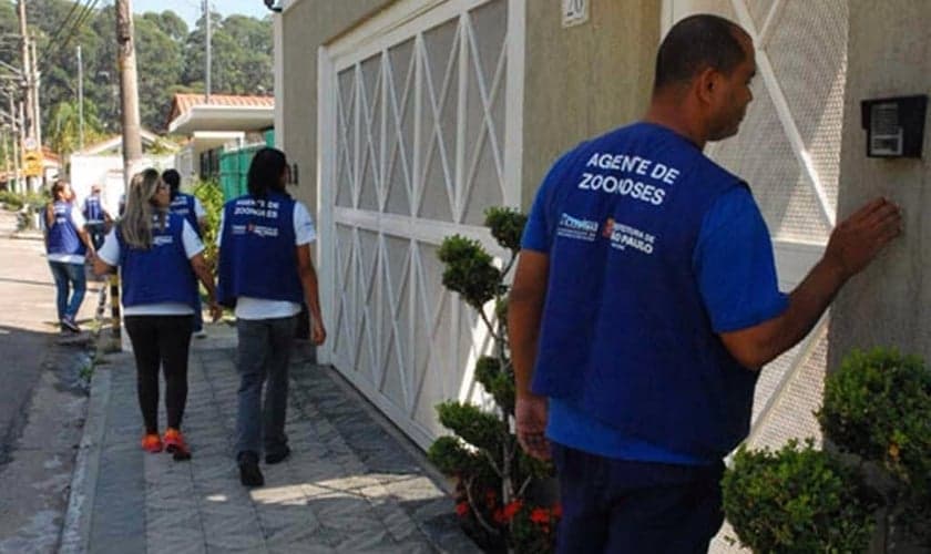 Casos de dengue em SP