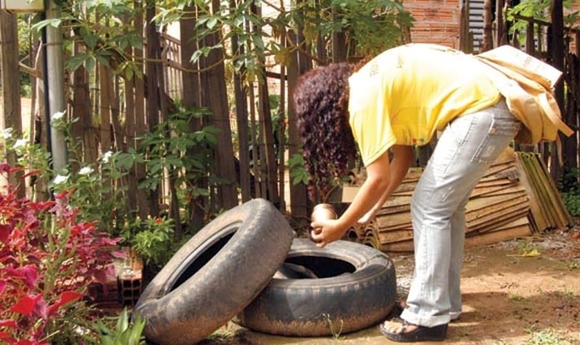Casos de dengue em SP