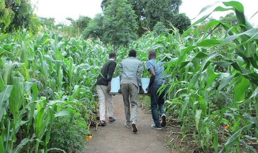 Biofiltros doados em Uganda