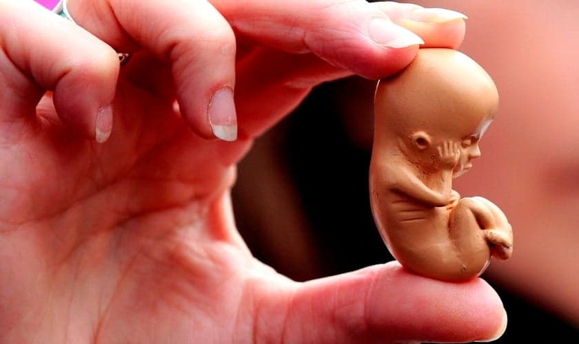 Exemplar de plástico mostra bebê ainda em tamanho fetal. (Foto: Pró-vida)