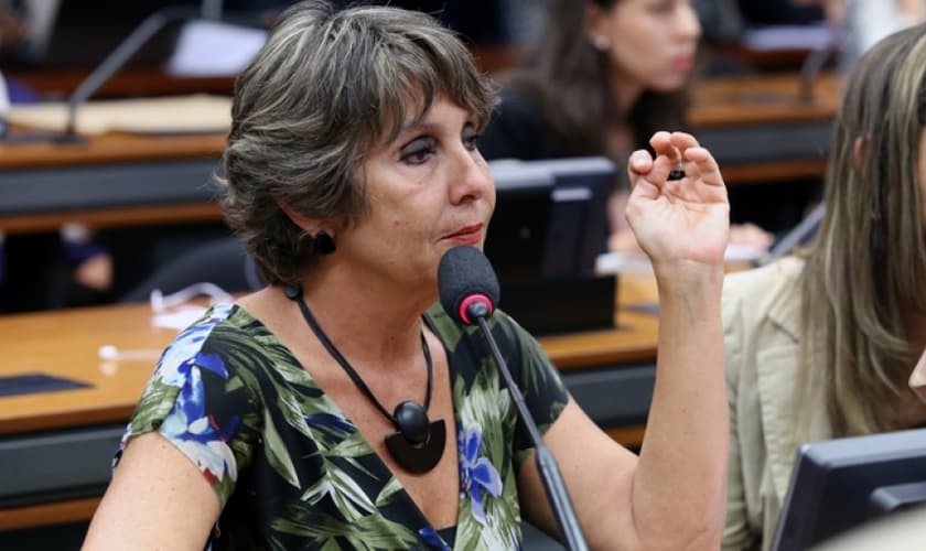 A deputada Èrica Kokay foi responsável por duas das quatro ressalvas que mantém o Estatuto na Câmara e afirmou que está disposta a fazer o possível para atrasar esta votação.