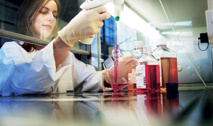 Durante o estudo, os pesquisadores focaram em uma parte do cérebro que detecta e resolve problemas. (Foto: Checklab)