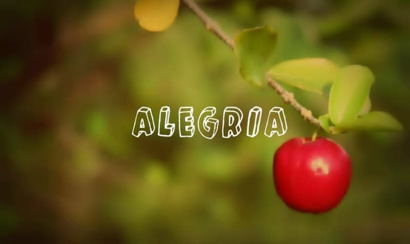 (Foto: Reprodução)