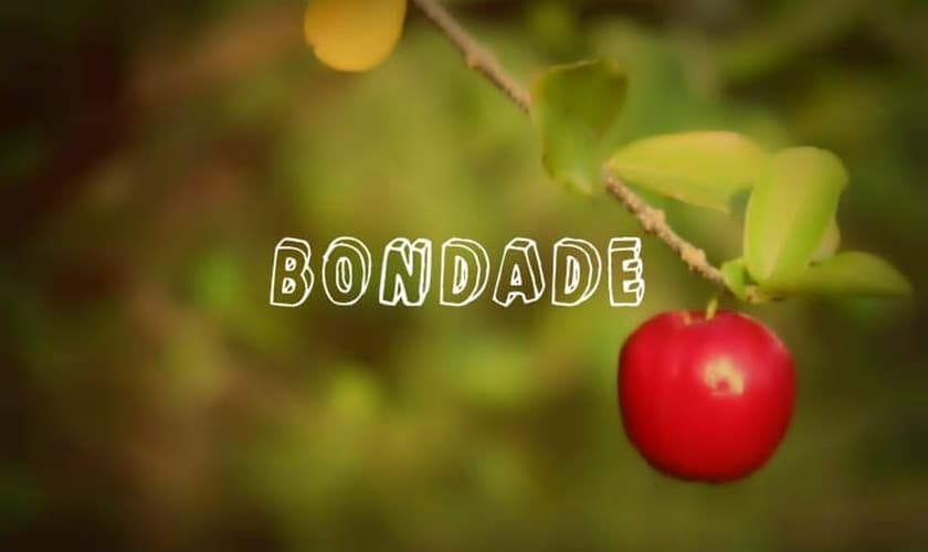 (Foto: Reprodução)