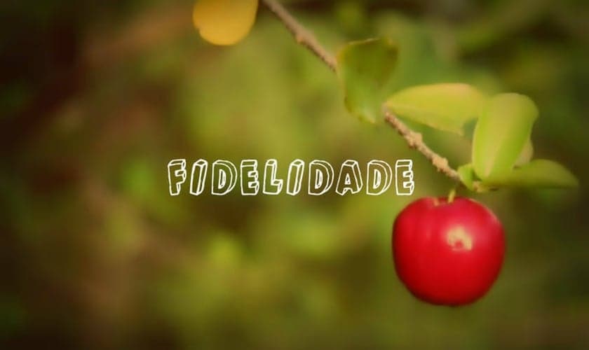 (Foto: Reprodução)