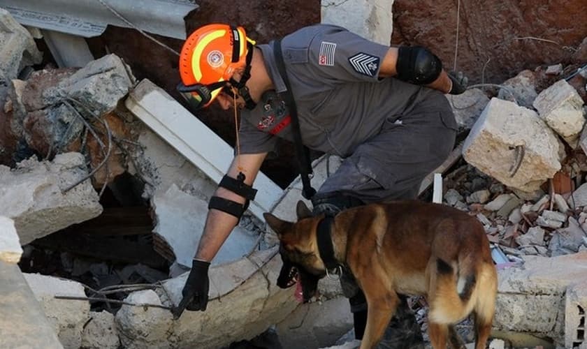 Os bombeiros decidiram mudar de tática e passaram a trabalhar em silêncio absoluto, com a ajuda de cães treinados para esse tipo de resgate. (Foto: G1)