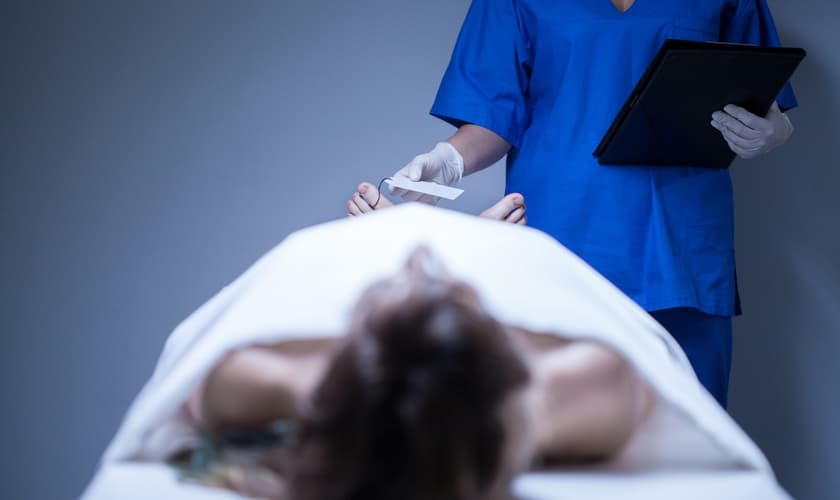 As primeiras tentativas de ressuscitar os mortos estão programadas para este ano. (Foto: Reprodução)