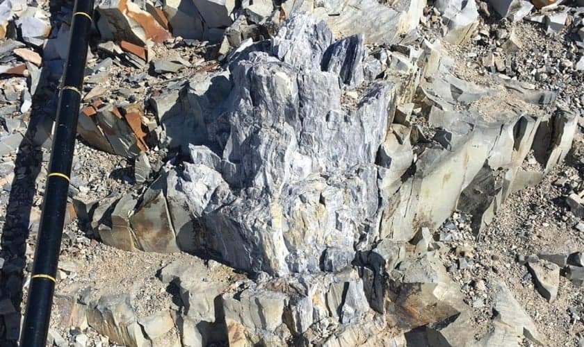 Árvores fossilizadas foram encontradas nos Montes Transantárticos da Antártica. (Foto: Copyright © 2017/ E. Gulbranson)