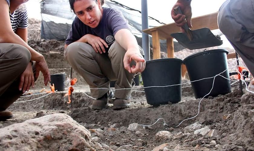 Arqueólogos encontraram em Jaljulia uma espécie de “paraíso” para caçadores-coletores pré-históricos. (Foto: Samuel Magal/Autoridade de Antiguidades de Israel)