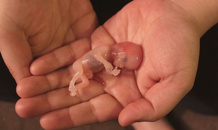 O método mais efetivo das três penas foi a perda de emprego. (Foto: Reprodução).