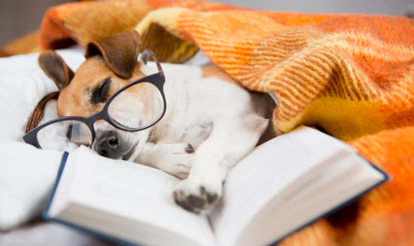 Conheça algumas dicas para equilibrar o descanso com os estudos. (Foto: Fly_dragonfly/iStock)