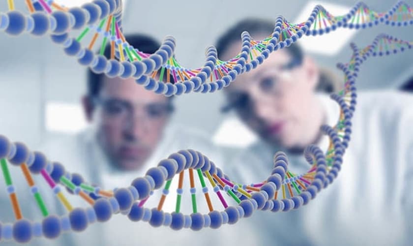 As descobertas colocam em cheque os padrões de evolução aceitos pela ciência. (Foto: Reprodução).