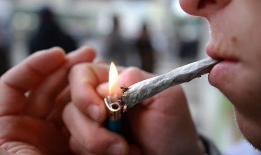Brasil: Pauta sobre a liberação de porte e uso recreativo da maconha volta ao STF em 2019. (Foto: Reprodução)