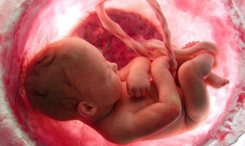 Abortos foram a maior causa de mortes no mundo, em 2018. (Imagem: Aleteia)