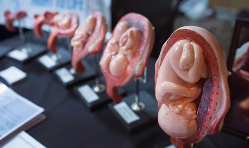 Alegando oferecer "serviços de saúde pública", a Planned Parenthood mascara seus relatórios para esconder os números reais de abortos que opera. (Foto: alaraby.co.uk)