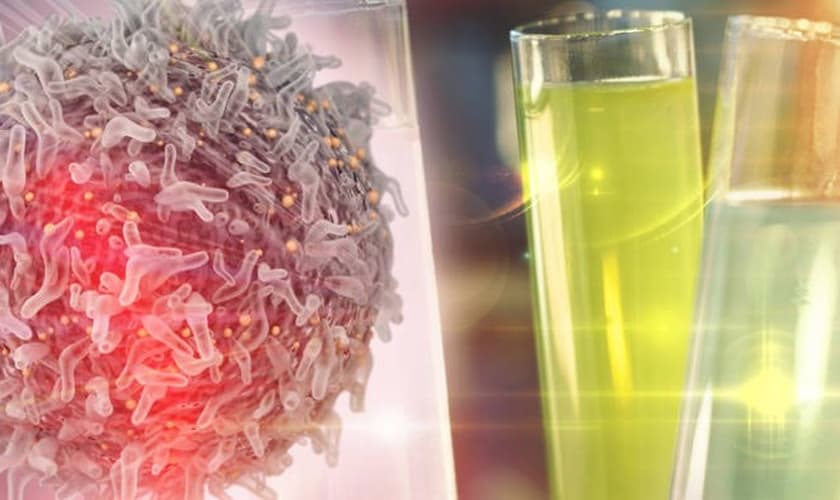 Pesquisa de imunoterapia de câncer com célula e tubo de ensaio. (Foto: Shutterstock)