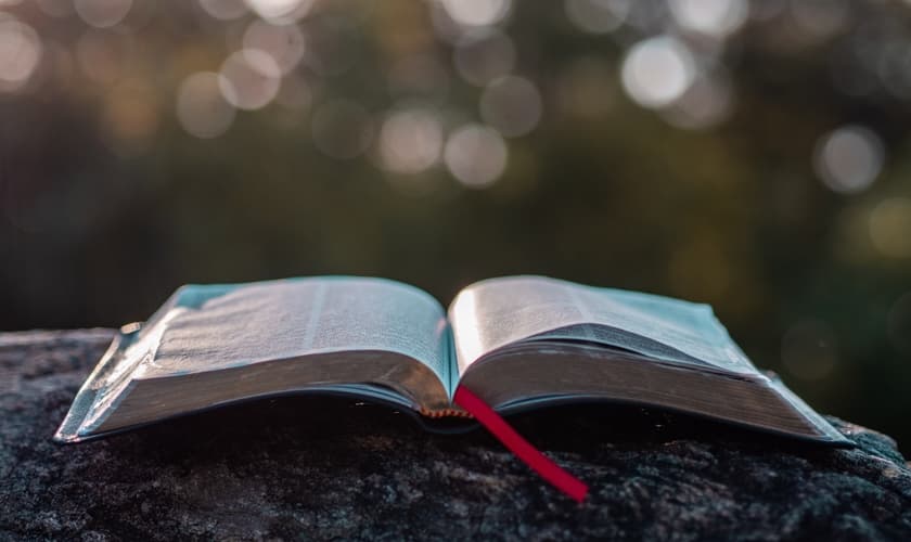 (Foto: Aaron Burden/Unsplash)