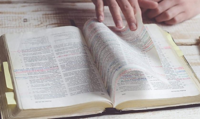 Pessoas buscam respostas nas Escrituras, diz pesquisa americana. (Foto: Reprodução/Navigators)