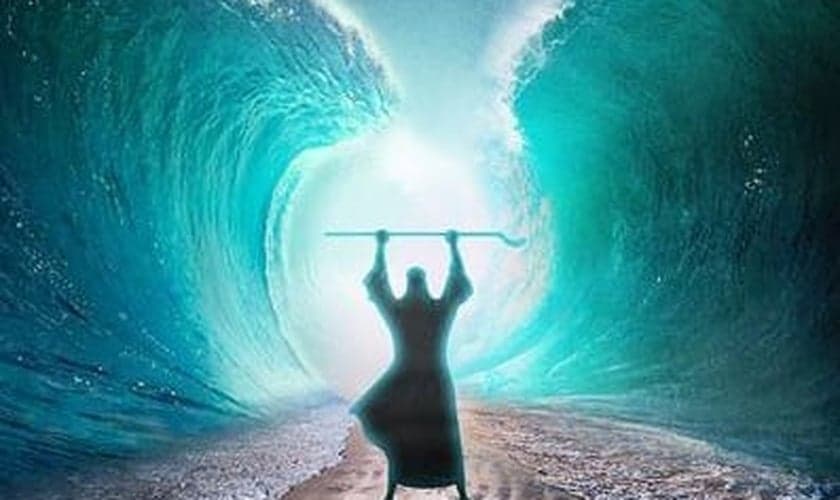 (Foto: Reprodução/Shutterstock)