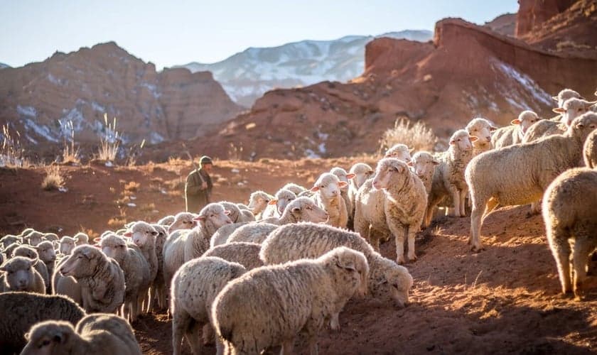 (Foto: Reprodução/Things pd the sort)