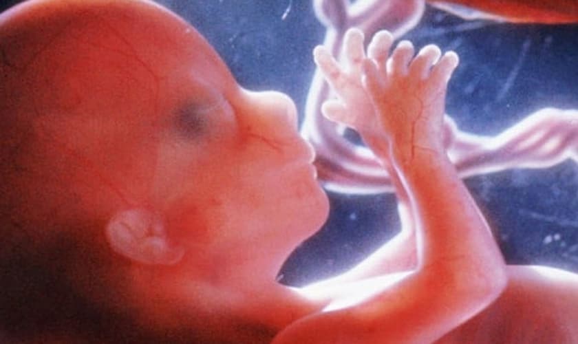 Feto de 16 semanas. (Foto: Reprodução/Live Action)
