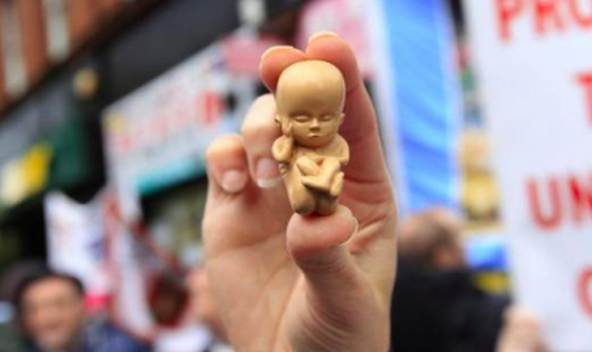 Manifestante segura modelo de um embrião de 12 semanas em uma manifestação contra o aborto em Belfast. (Foto: Reprodução/Reuters)