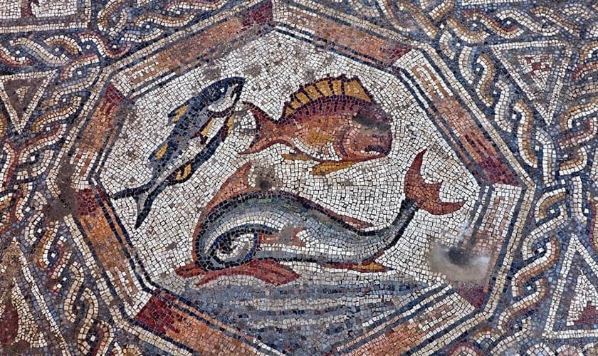 Parte do mosaico de 1.700 anos da era romana descoberto em Israel. (Foto: Assaf Peretz/ Autoridade de Antiguidades de Israel).