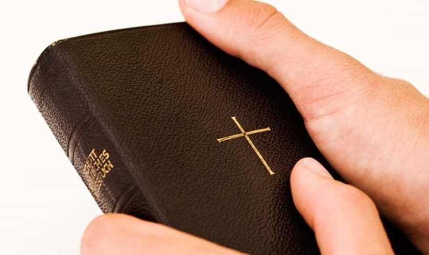 (Foto: Reprodução/Thinkstock)