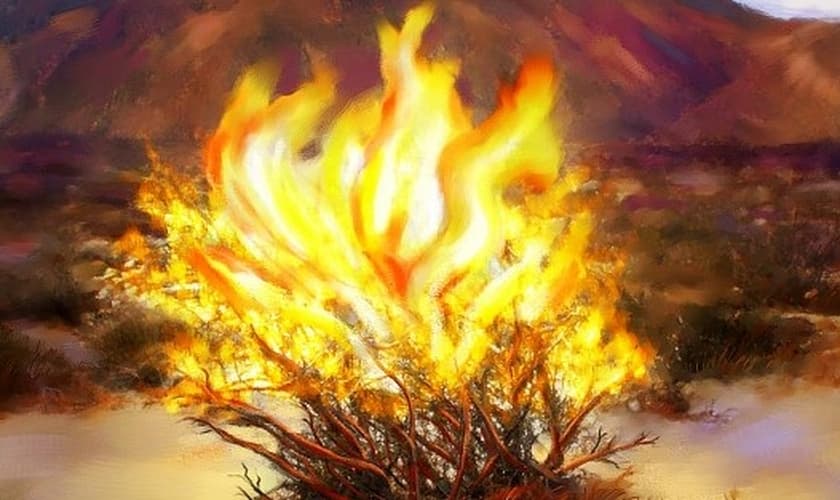 (Foto: Chabadintown)